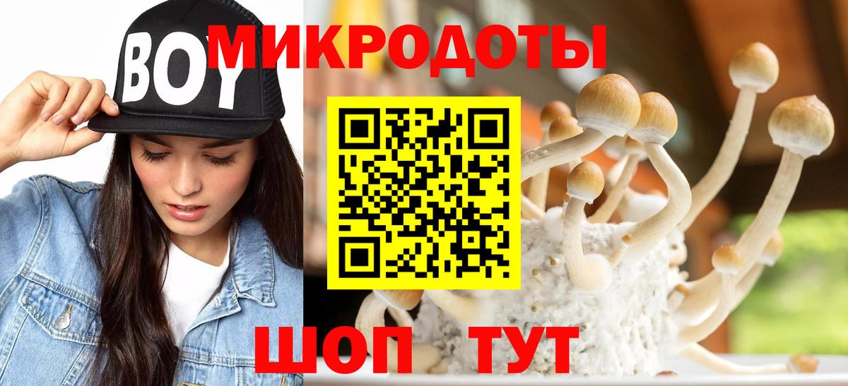 Геленджик  Галлюциногенные грибы Magic Shrooms  где купить наркоту  Галлюциногенные грибы Psilocybe  Вход с VPN 
