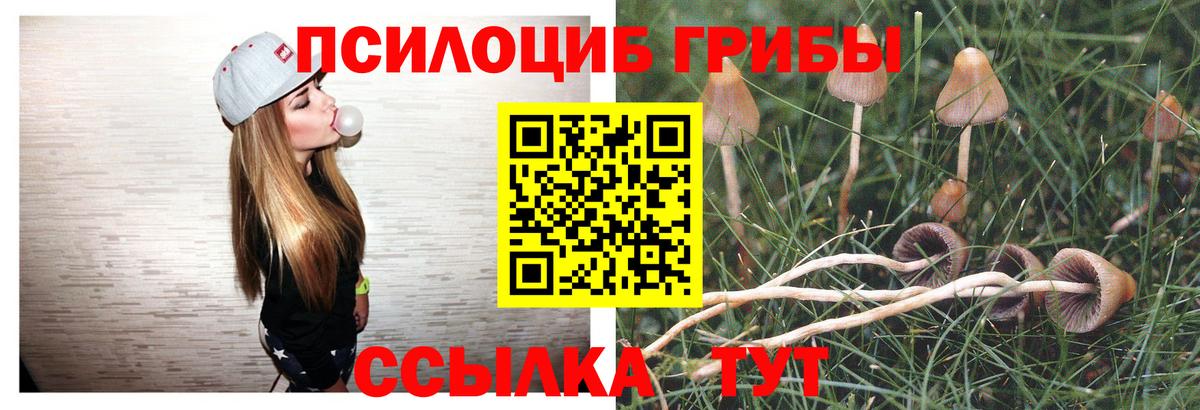 Псилоцибиновые грибы Magic Shrooms Геленджик